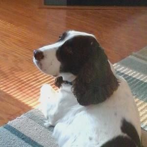 Meet your Posher, Nancy